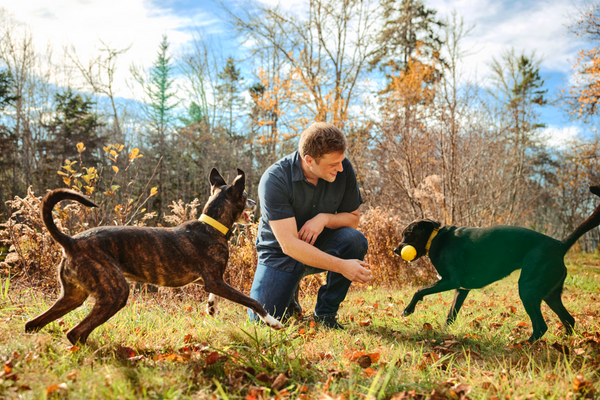 Dr. Eric Roy playing with his two dogs in a forested area with trees and blue sky in the background.