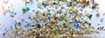 Microplastics under microscope