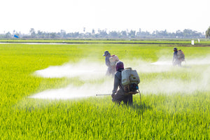 Pesticide Contamination In Drinking Water:  What You Need To Know