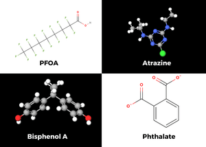 Endocrine Disruptors In Drinking Water: What You Need To Know