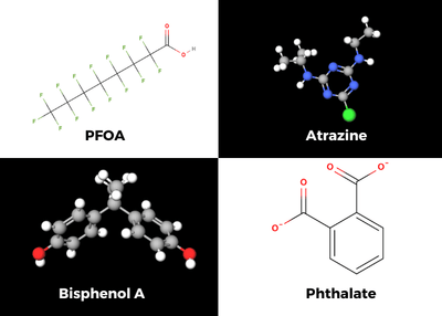 Molecular Structures of 4 common endocrine disrupters