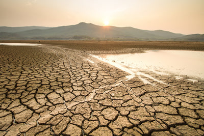 Drought landscape with shallow water in background
