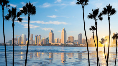 Skyline of San Diego, CA with palm trees