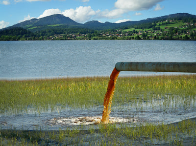 dirty water from pipe entering body of water