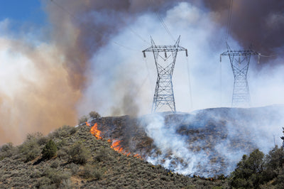 Wildfires and Water Quality