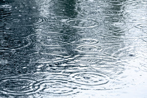 What You Need To Know About PFAS Chemicals in Rainwater:
