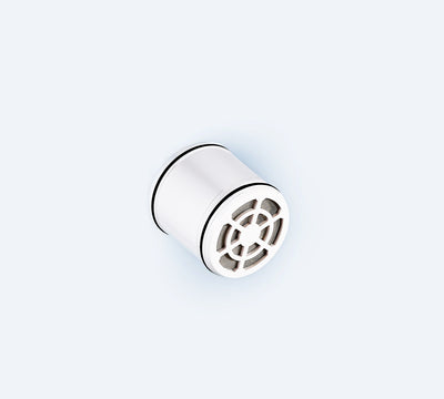 Filtered Showerhead Refill