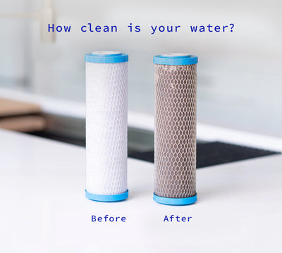 Drinking Water Filter Refill