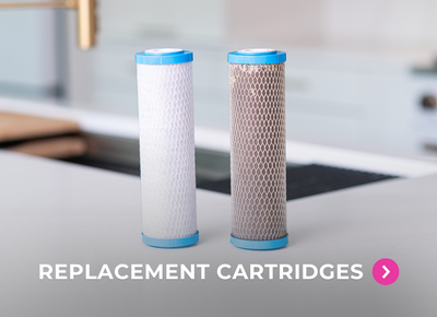 Replacement Cartridges