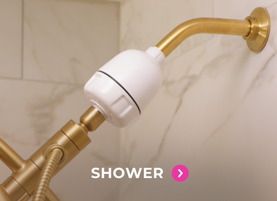 Shower Filter